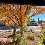 Historic U Of A Bungalow With Spa