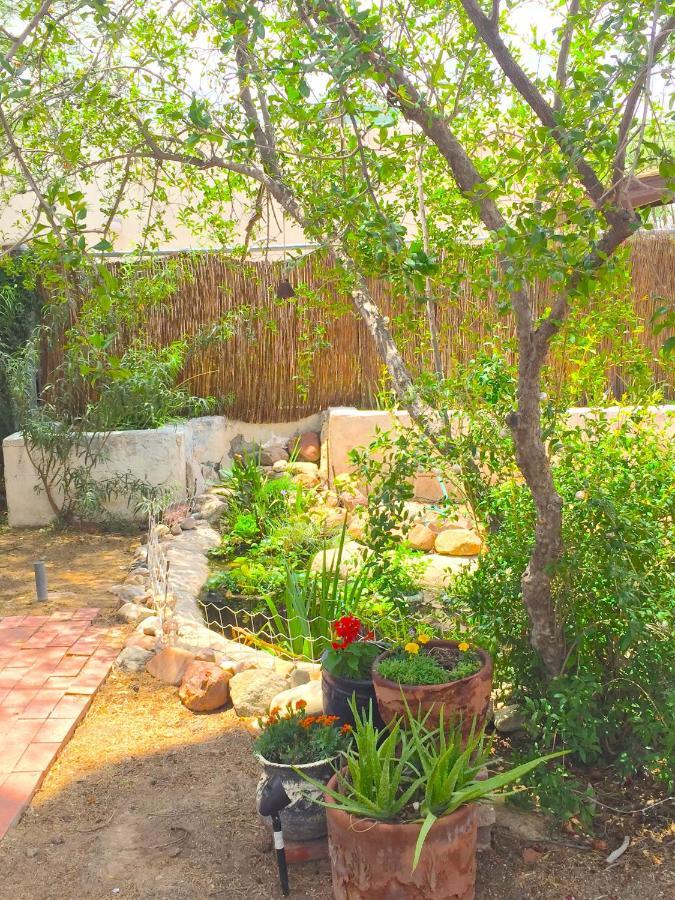 Historic U Of A Bungalow With Holiday home